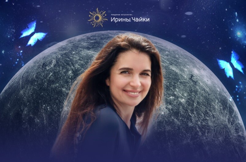 Чайка грамотный специалист