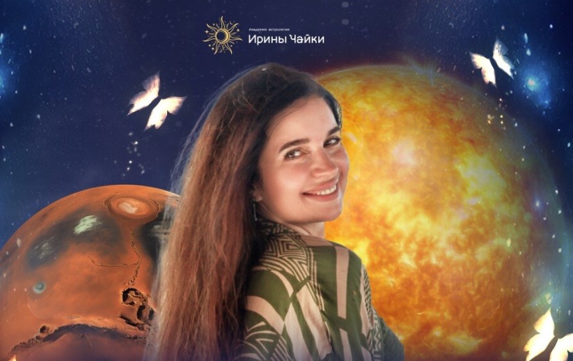 Чайка консультирование клиентов